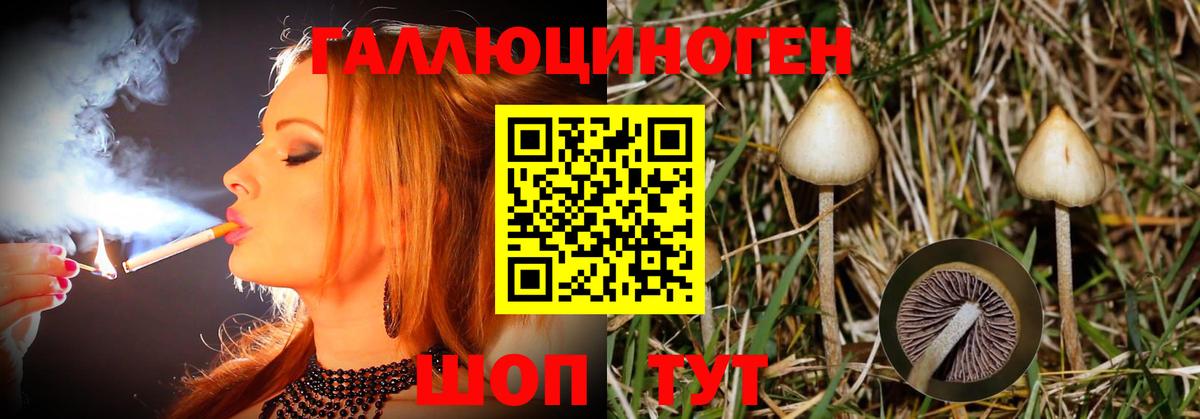 Псилоцибиновые грибы прущие грибы  Вход с VPN  цена   Фрязино  Псилоцибиновые грибы Psilocybe 
