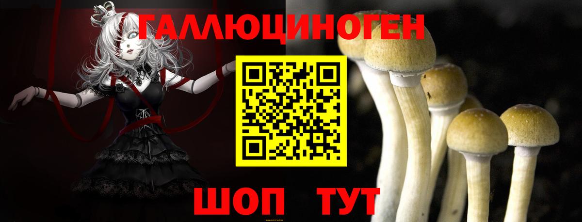Галлюциногенные грибы Magic Shrooms Фрязино